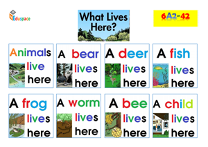 What lives here (in A3)
